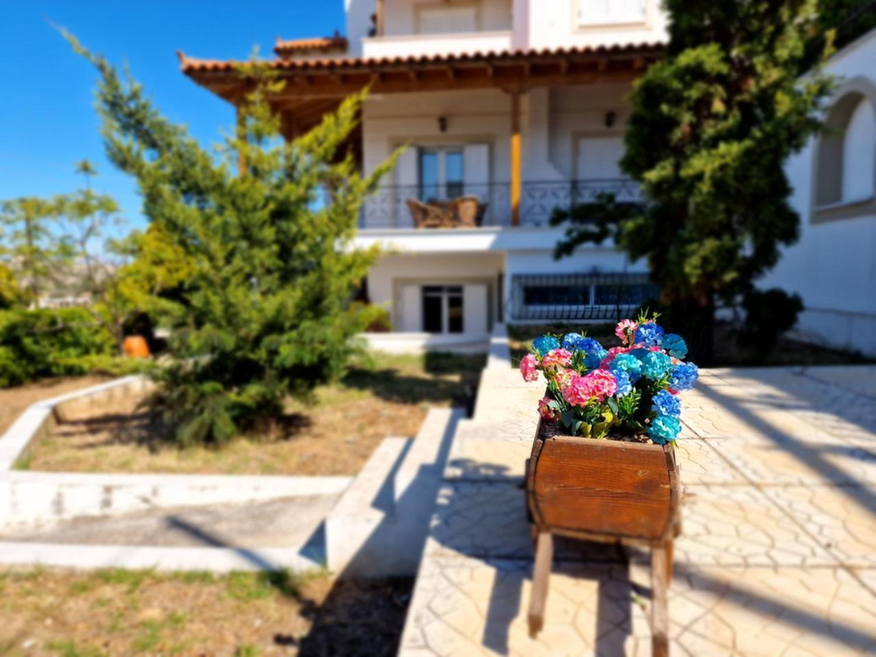 The Mirador Boutique Villa With Scenic Sea View Porto Rafti Bagian luar foto