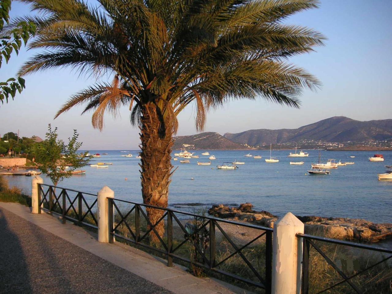 The Mirador Boutique Villa With Scenic Sea View Porto Rafti Bagian luar foto